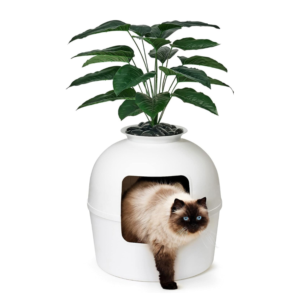 OrchidBox™ - The Original Hidden Litter Box